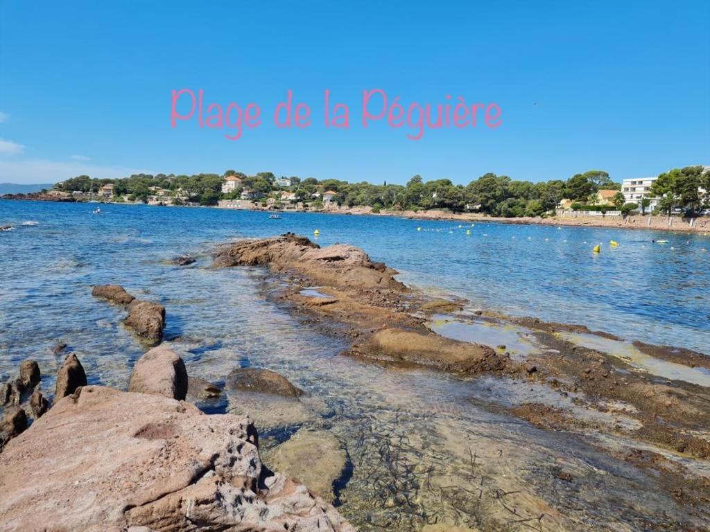 Apartment Boulouris, Grand Studio 2 A 4 Personnes A 5min A Pied Des Plages Saint-Raphael (Var)