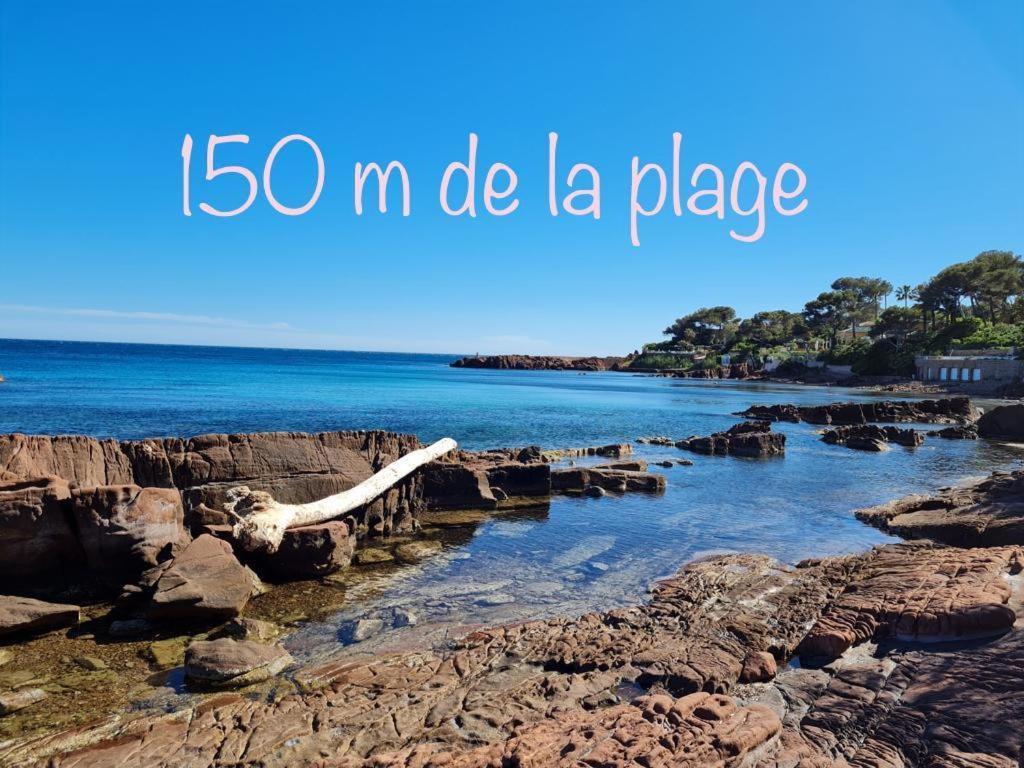 Boulouris, Grand 2 A 4 Personnes A 5min A Pied Des Plages Saint-Raphaël
